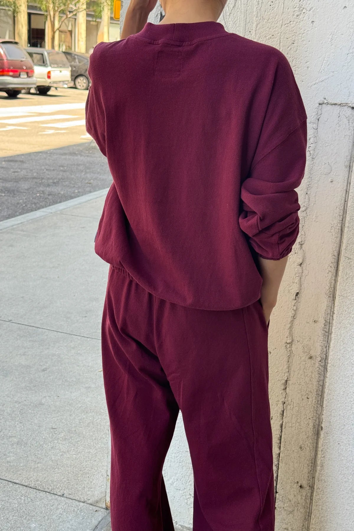 LE BON SHOPPE Daisy Long Sleeve Top - Cabernet